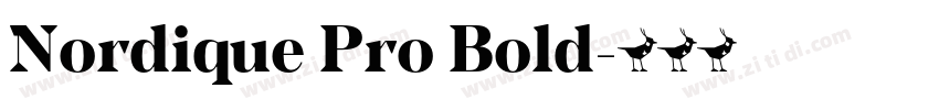 Nordique Pro Bold字体转换